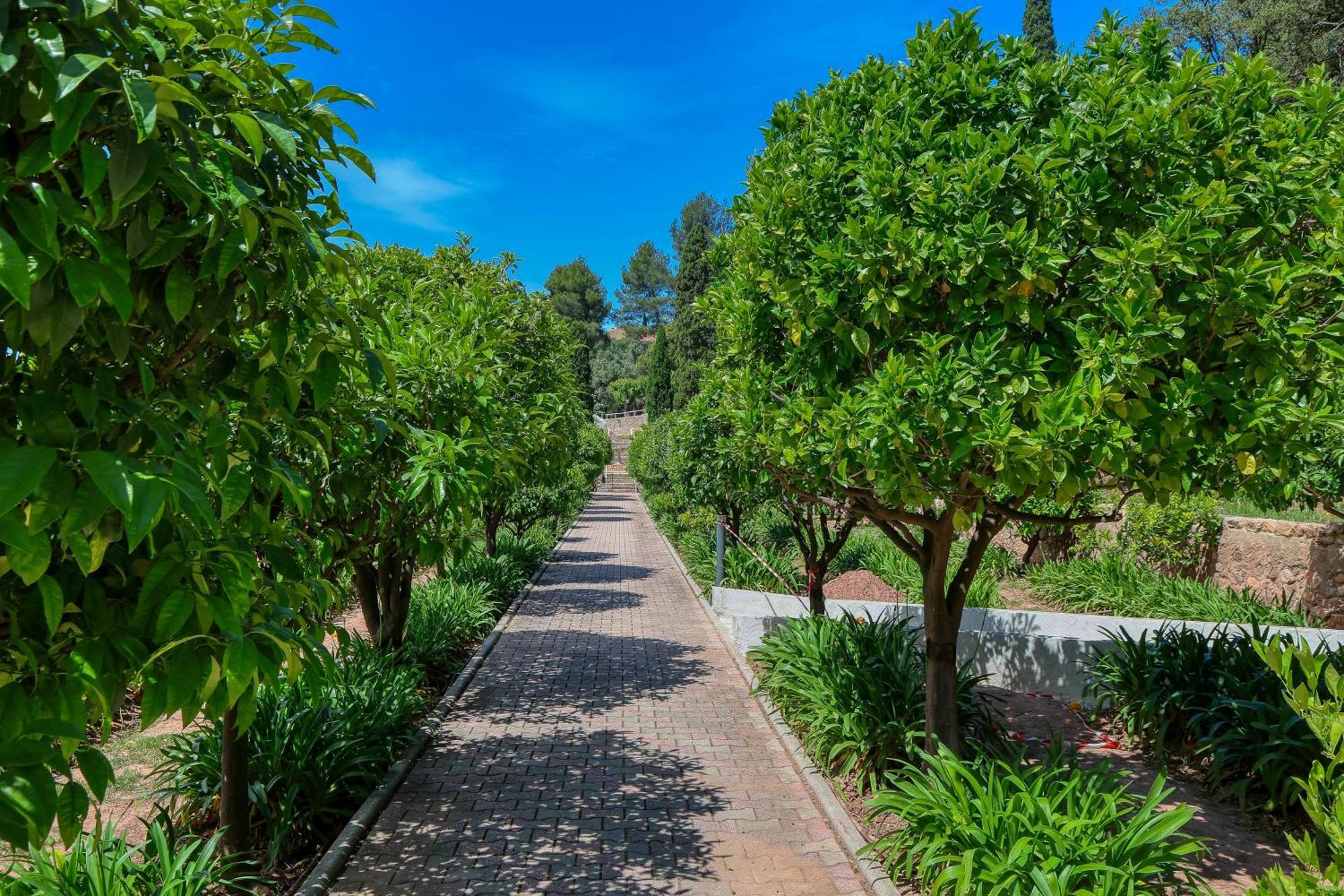 Domaine Des Gueules Cassees Hotel La Valette-du-Var Exterior photo