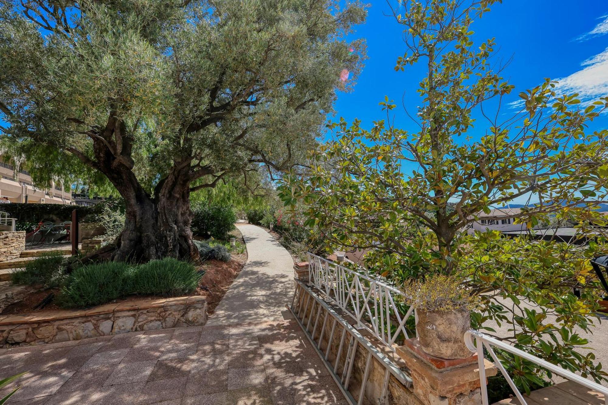 Domaine Des Gueules Cassees Hotel La Valette-du-Var Exterior photo